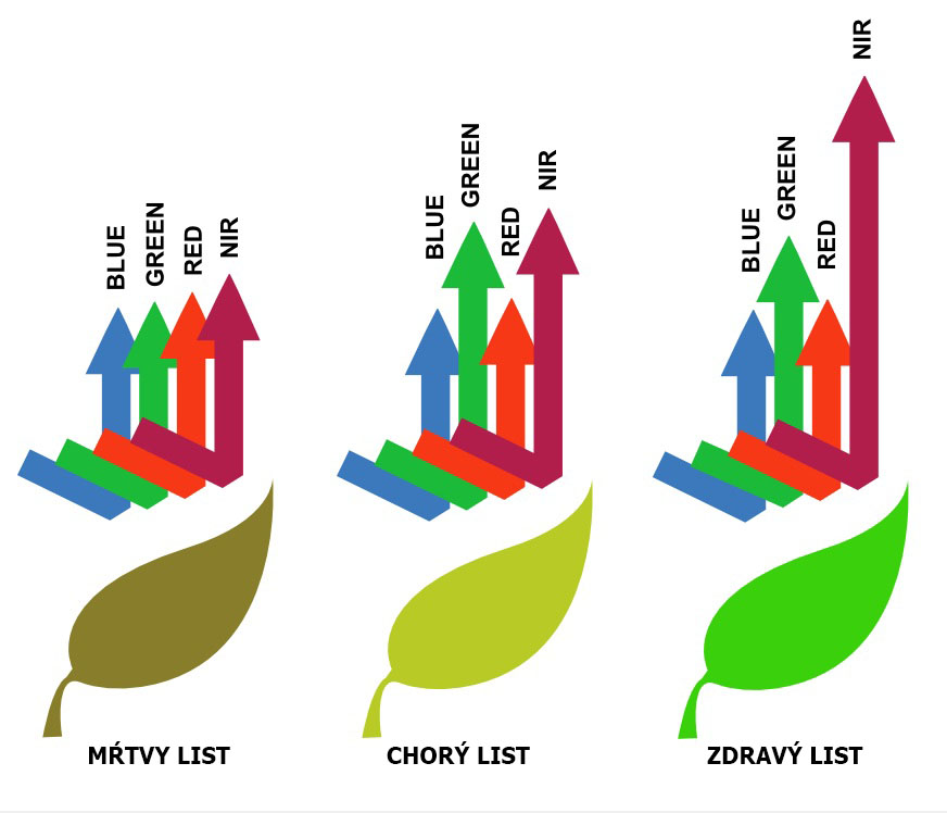 This image for Image Layouts addon